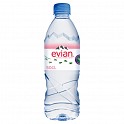 Evian 24 x 500ml plastic